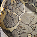 Septarian - Carved and Polished Bowl - Statement Specimen