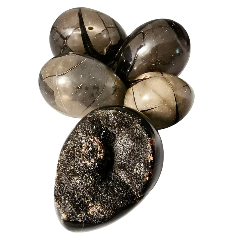 Septarian Stone - Egg