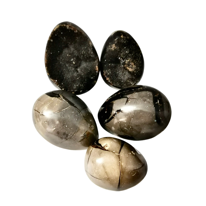 Septarian Stone - Egg