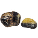Septarian Stone - Tumble - Madagascar - UV reactive - Root and Solar Plexus Chakra