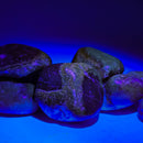 Septarian Stone - Tumble - Madagascar - UV reactive - Root and Solar Plexus Chakra