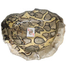 Septarian - Carved and Polished Bowl - Statement Specimen - Madagascar - Root (Base), Sacral, and Solar Plexus chakras