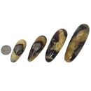 Septarian - Massage Wand - Madagascar - Ultraviolet