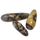 Septarian - Massage Wand - Madagascar
