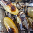 Septarian - Massage Wand - Madagascar