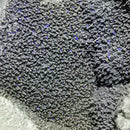 Septarian Stone - Egg