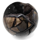 Septarian Sphere - Specimen