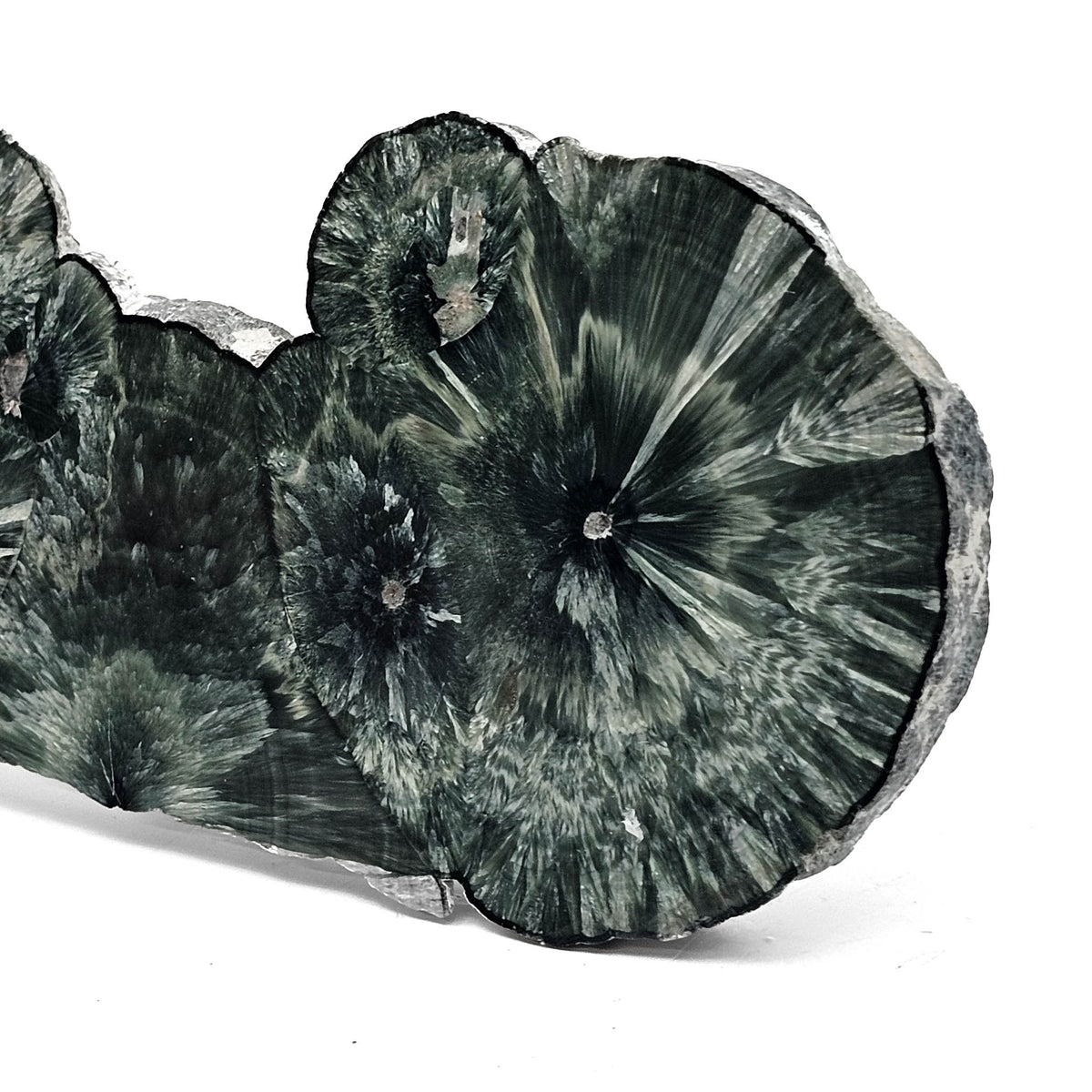 Seraphinite polished slab from Korshunovskoye Mine, East Siberia, Russia.