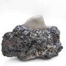 Skutterudite with Calcite - Specimen