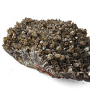 Smokey Quartz - Specimen