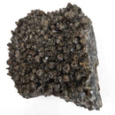 Smokey Quartz - Specimen