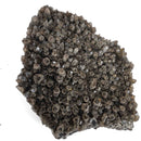 Smokey Quartz - Specimen