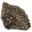 Smokey Quartz - Specimen