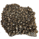 Smokey Quartz - Specimen