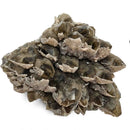 Calcite on Smoky Quartz - Specimen
