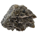 Calcite on Smoky Quartz - Specimen