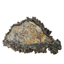 Smokey Quartz - Specimen