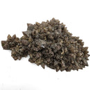 Smokey Quartz - Specimen