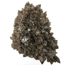 Smokey Quartz - Specimen