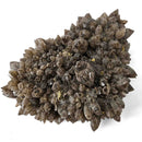 Smokey Quartz - Specimen