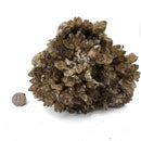 Smokey Quartz - Specimen