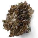 Smokey Quartz - Specimen