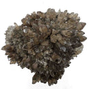 Smokey Quartz - Specimen