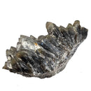 Smoky and Morion Quartz - Specimen