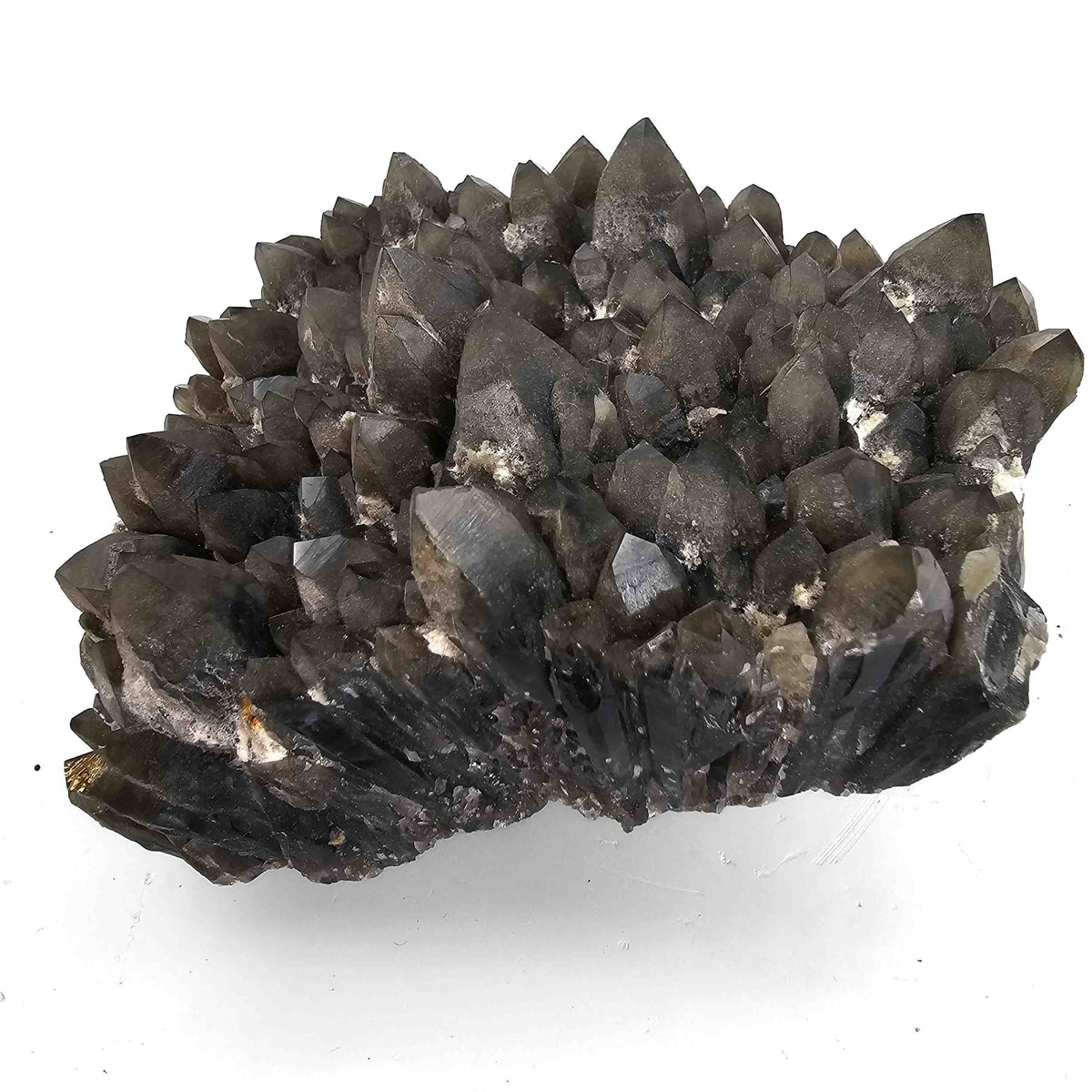 Smoky and Morion Quartz specimen from Baia Mare mining district, Maramureș County, Romania.