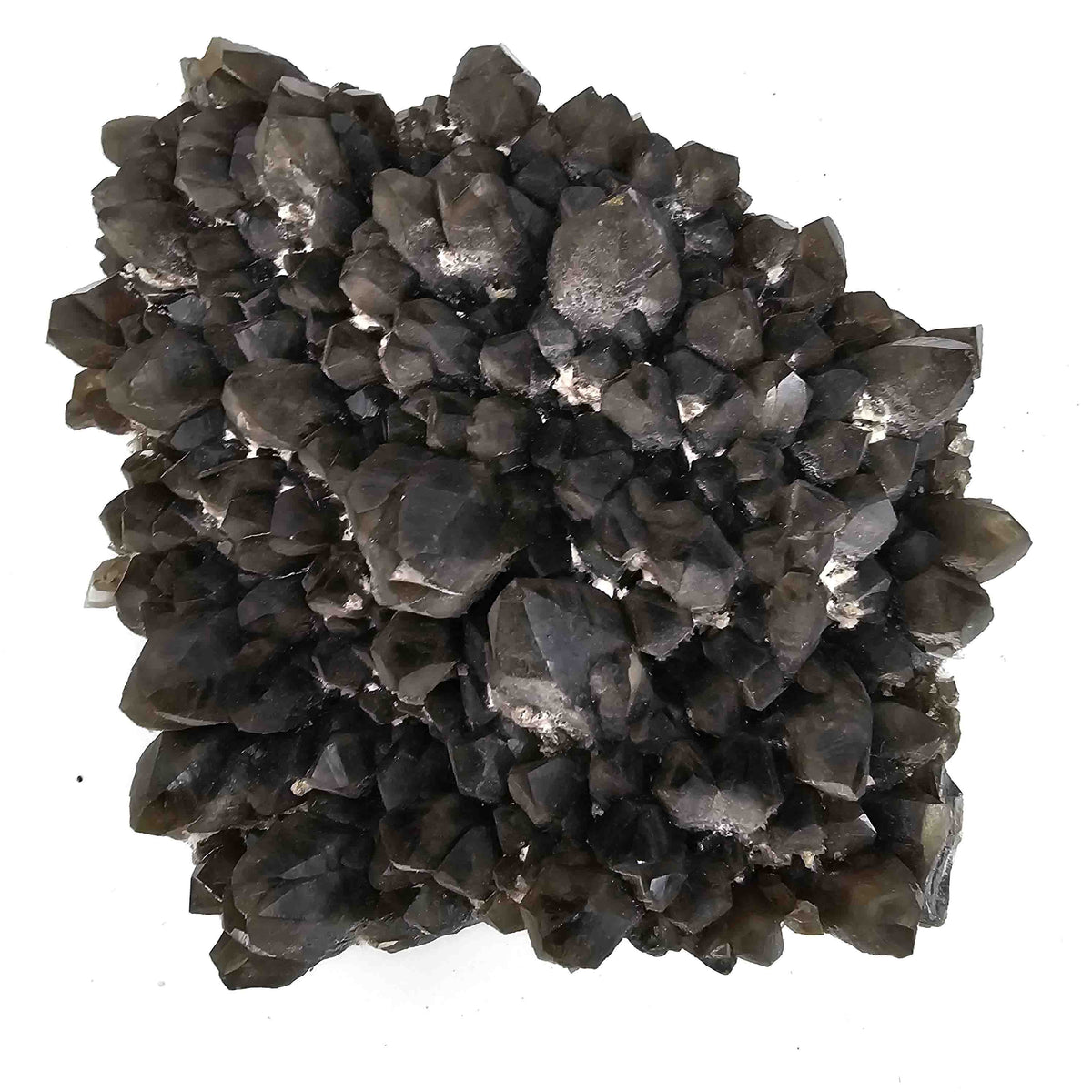 Smoky and Morion Quartz specimen from Baia Mare mining district, Maramureș County, Romania.