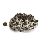 Calcite on Smokey Quartz - Specimen