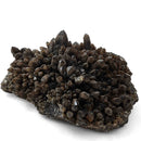 Smokey Quartz - Specimen