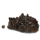 Smokey Quartz - Specimen