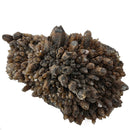 Smokey Quartz - Specimen