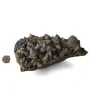 Smokey Quartz - Specimen