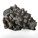 Smokey Quartz - Specimen