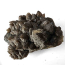 Smokey Quartz - Specimen