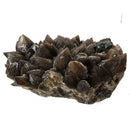 Smokey Quartz - Specimen