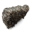 Smokey Quartz - Specimen