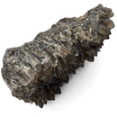 Smokey Quartz - Specimen