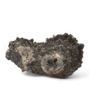 Pyrite on Morion Quartz - Specimen