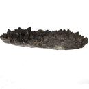 Pyrite on Morion Quartz - Specimen
