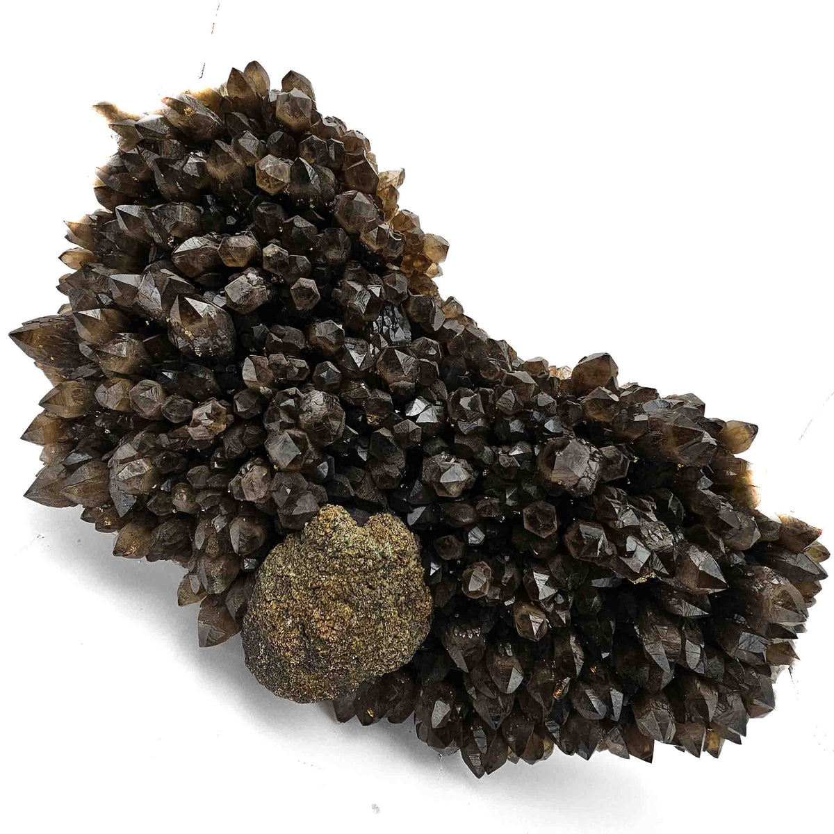 Pyrite on Morion Quartz specimen from Baia Mare mining district, Maramureș County, Romania.