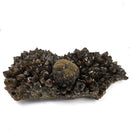 Pyrite on Morion Quartz - Specimen