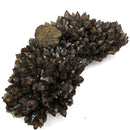 Pyrite on Morion Quartz - Specimen