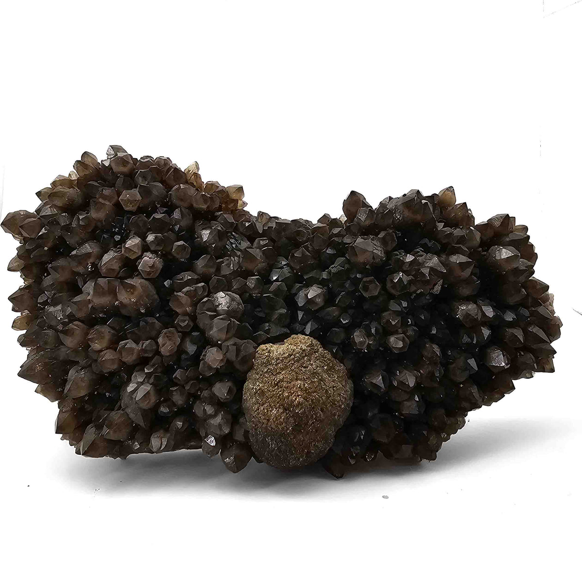 Pyrite on Morion Quartz specimen from Baia Mare mining district, Maramureș County, Romania.