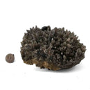 Smokey Quartz with Pyrite - Specimen