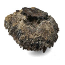 Smokey Quartz with Pyrite - Specimen