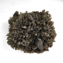 Smokey Quartz with Pyrite - Specimen