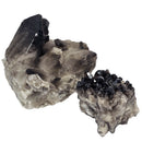 Smoky Quartz - Cluster - Mineral Specimen - Brazil - Root Chakra